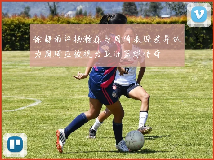 徐静雨评杨瀚森与周琦表现差异认为周琦应被视为亚洲篮球传奇