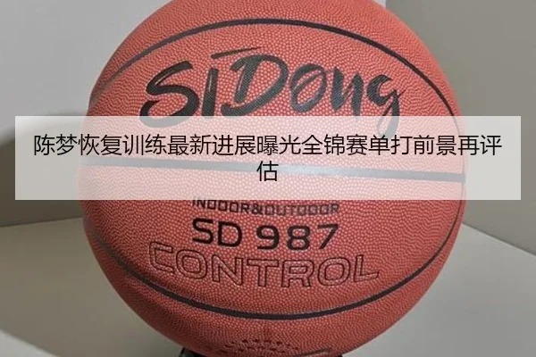陈梦恢复训练最新进展曝光全锦赛单打前景再评估 | ACMilan